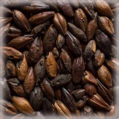 Malț Chateau Chocolat