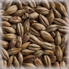 Malț Chateau Biscuit