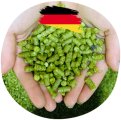 Хмель Hallertau Mittelfruh (DE)
