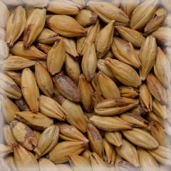 Malț Chateau Cara Crystal