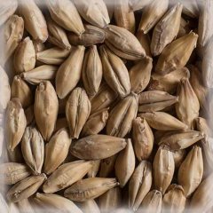 Malț Chateau Whisky