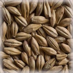 Malț Chateau Cara Clair