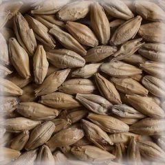 Malț Chateau Peated