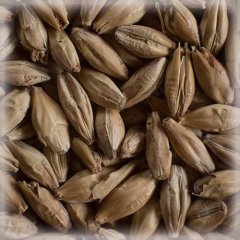 Malț Chateau Vienna