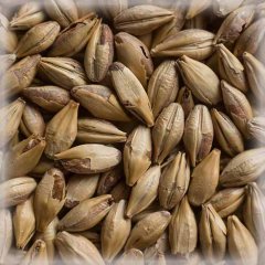 Malț Chateau Cara Ruby