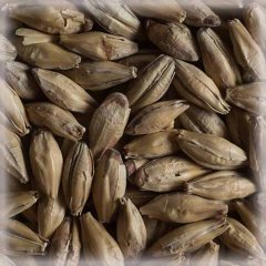 Malț Chateau Munich