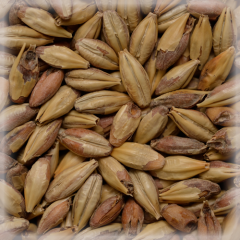 Malț Chateau Melano